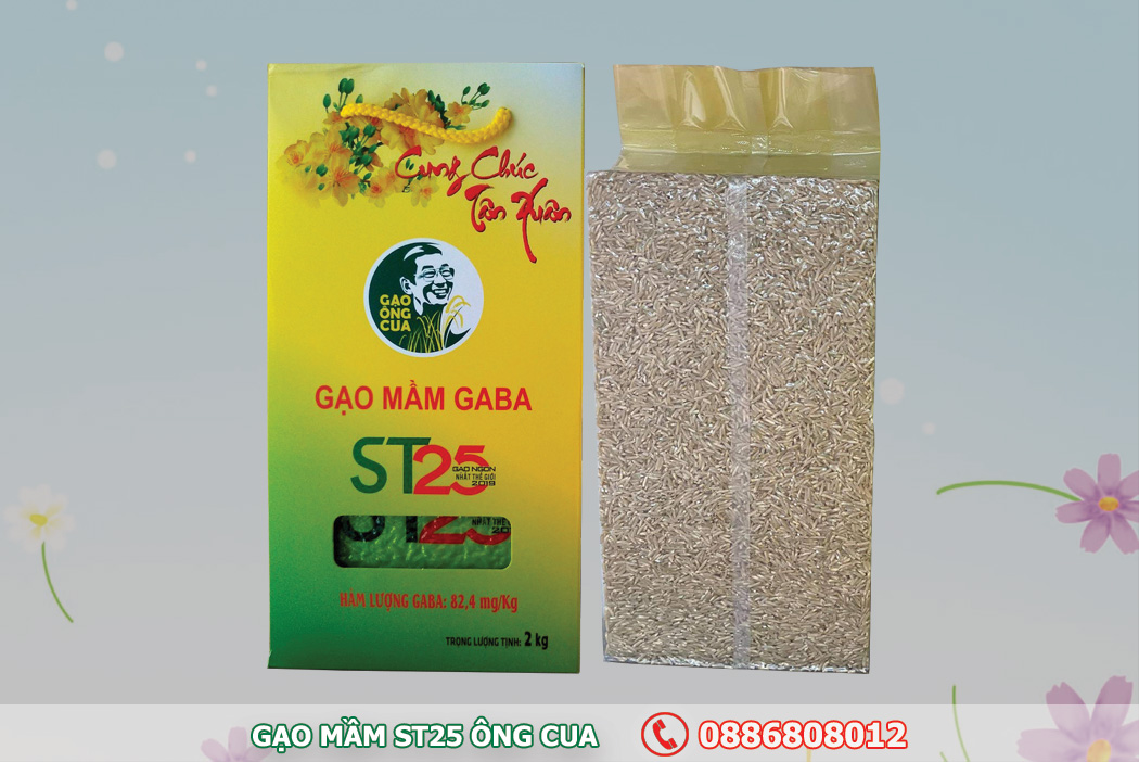 Gạo mầm Gaba