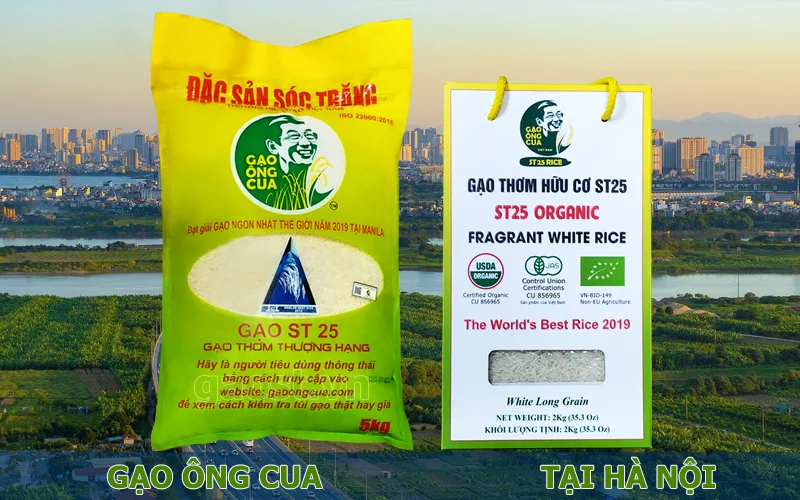 Đại lý gạo ST25 chính hãng Ông Cua tại Hà Nội