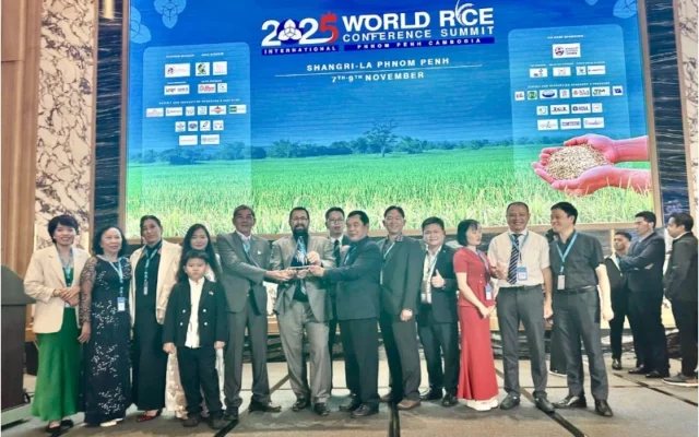 Gạo ngon nhất thế giới 2025